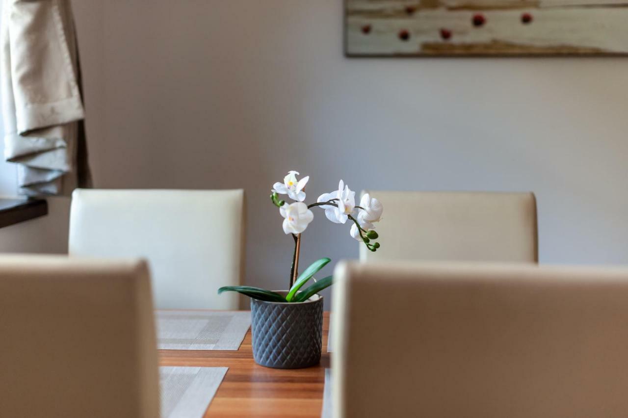شقة Vila Helena - Apartman Helena 15 روجومبيروك المظهر الخارجي الصورة